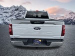2024 F-150 Thumbnail 8