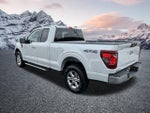 2024 F-150 Thumbnail 10
