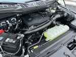 2024 F-150 Thumbnail 21