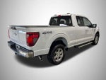 2024 F-150 Thumbnail 5