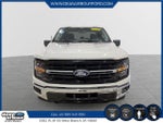 2024 F-150 Thumbnail 2