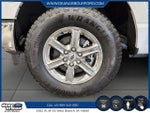 2024 F-150 Thumbnail 6