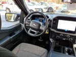 2025 F-150 Thumbnail 12