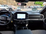 2025 F-150 Thumbnail 13