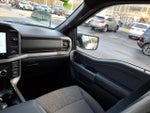 2025 F-150 Thumbnail 14