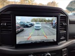 2025 F-150 Thumbnail 17