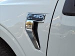 2025 F-150 Thumbnail 19