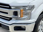 2019 F-150 Thumbnail 10