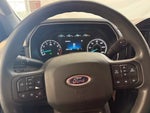 2021 F-150 Thumbnail 10
