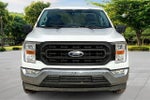 2021 F-150 Thumbnail 3