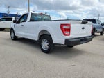 2021 F-150 Thumbnail 4