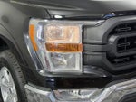2021 F-150 Thumbnail 7