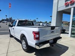 2019 F-150 Thumbnail 4