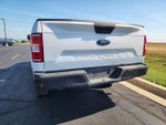2020 F-150 Thumbnail 3