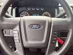 2014 F-150 Thumbnail 14