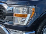 2021 F-150 Thumbnail 9
