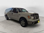 2010 F-150 Thumbnail 3