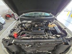 2010 F-150 Thumbnail 24