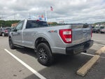 2023 F-150 Thumbnail 6