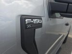 2023 F-150 Thumbnail 12
