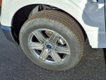 2023 F-150 Thumbnail 20