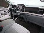 2023 F-150 Thumbnail 2