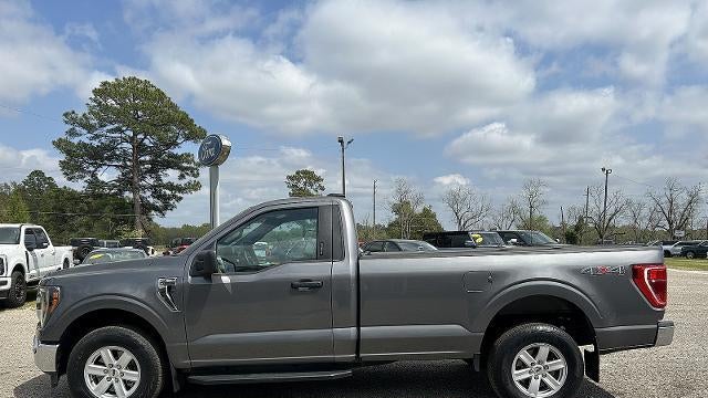 Preowned 2023 Ford F-150 XL for Sale
