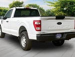 2021 F-150 Thumbnail 2