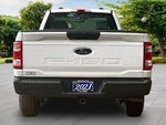 2021 F-150 Thumbnail 4