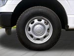 2021 F-150 Thumbnail 8