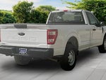 2021 F-150 Thumbnail 11
