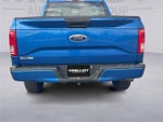 2016 F-150 Thumbnail 4