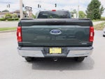 2021 F-150 Thumbnail 6