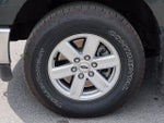 2021 F-150 Thumbnail 12