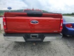 2023 F-150 Thumbnail 4