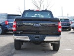 2023 F-150 Thumbnail 4