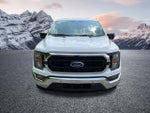 2023 F-150 Thumbnail 3
