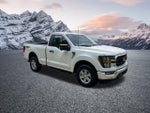 2023 F-150 Thumbnail 4