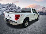 2023 F-150 Thumbnail 6