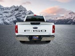 2023 F-150 Thumbnail 7