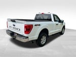 2023 F-150 Thumbnail 6