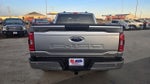 2023 F-150 Thumbnail 6