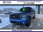 2014 F-150 Thumbnail 1