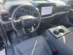 2024 F-150 Thumbnail 8