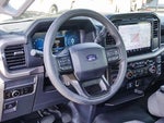 2024 F-150 Thumbnail 14