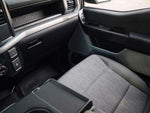 2024 F-150 Thumbnail 12