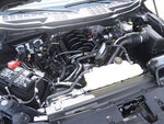 2024 F-150 Thumbnail 20