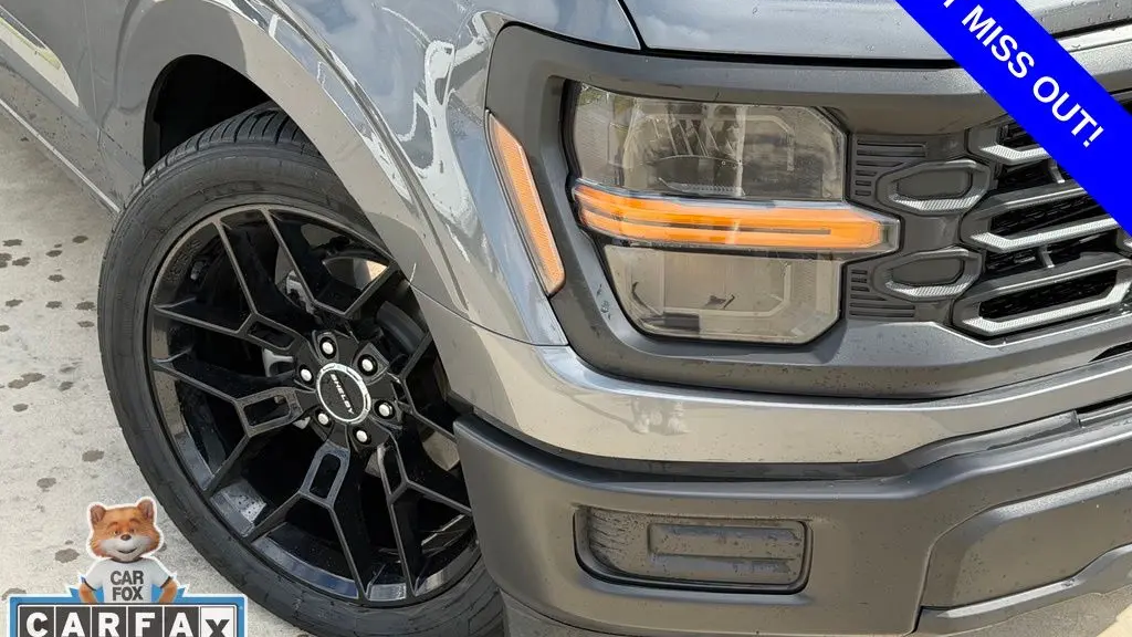 2025 Ford F-150 XL