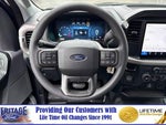 2025 F-150 Thumbnail 13