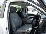 2026 F-150 Thumbnail 19